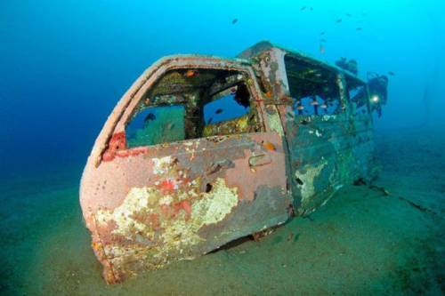 車が海に沈んでしばらくして魚の住まいになった写真