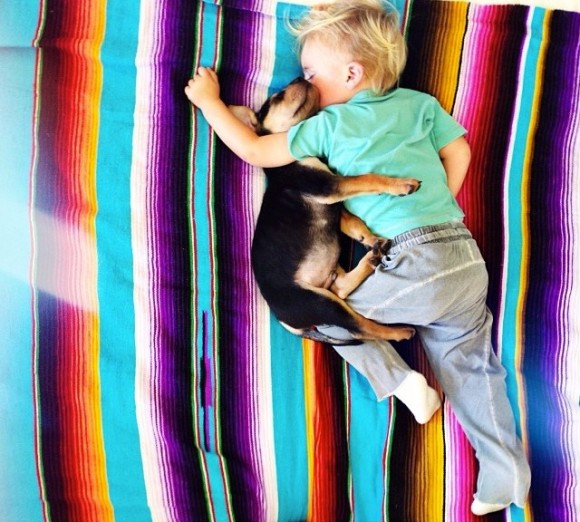 幼い子犬と幼い息子の友情の記録写真