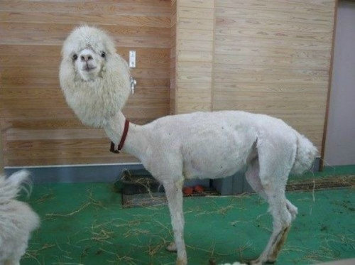 見ているだけで元気になれそうな写真