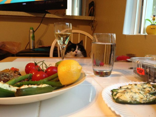 超可愛い動物たちに癒される写真