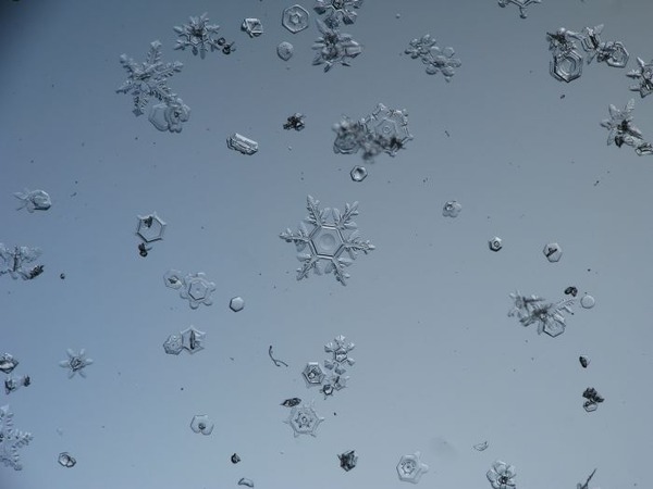 シンプルなDIYカメラキットでとらえた驚くべき雪の結晶