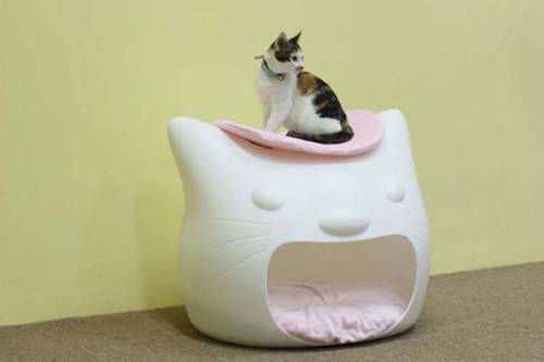可愛い家の中にある猫の家