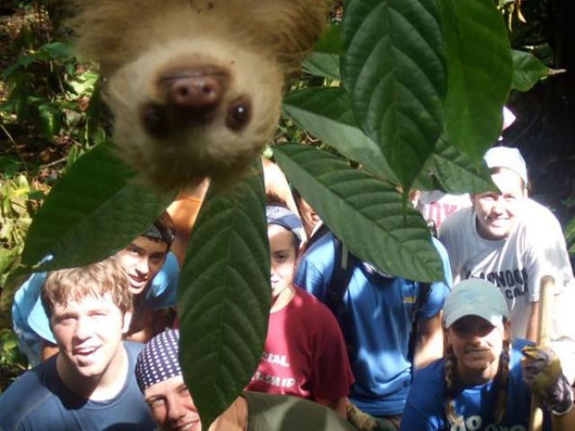 記念撮影好きな動物の写真