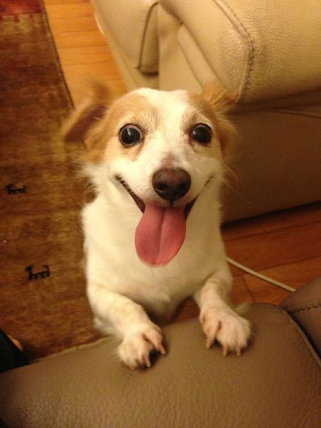 今日も可愛い動物たちの写真
