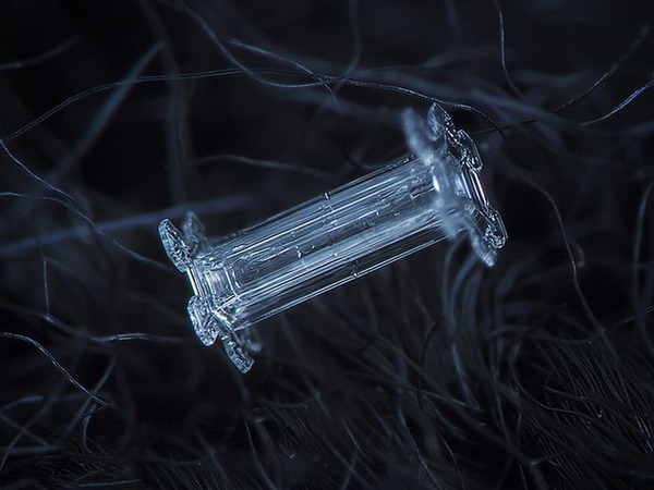 シンプルなDIYカメラキットでとらえた驚くべき雪の結晶