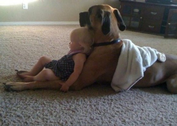 動物と人間の子供が仲良くしている可愛い写真