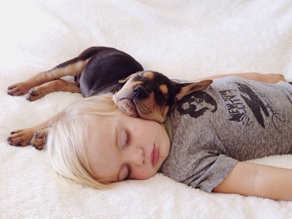 幼い子犬と幼い息子の友情の記録写真