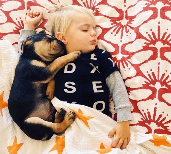 幼い子犬と幼い息子の友情の記録写真