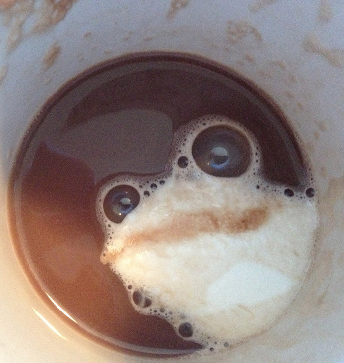 視線を感じると思ったら顔っぽい何かの写真