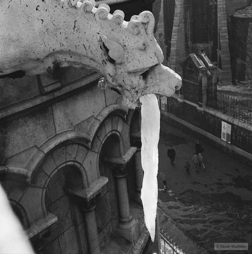 フランスの写真家が撮影したユニーク写真