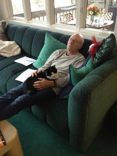 「猫がいて幸せを感じる瞬間」の写真