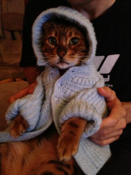 可愛すぎて一緒に笑っちゃう動物たちの写真