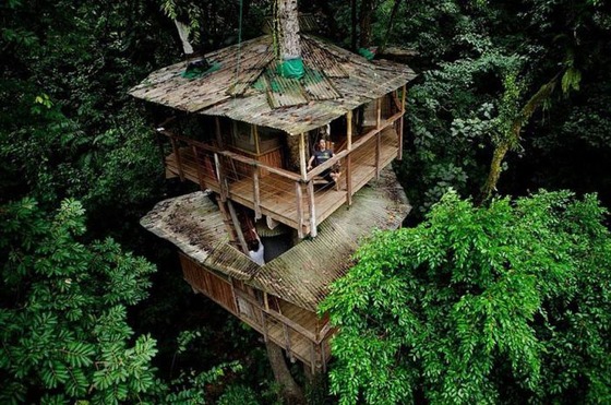 これが男のロマンと思える森の中の建築写真