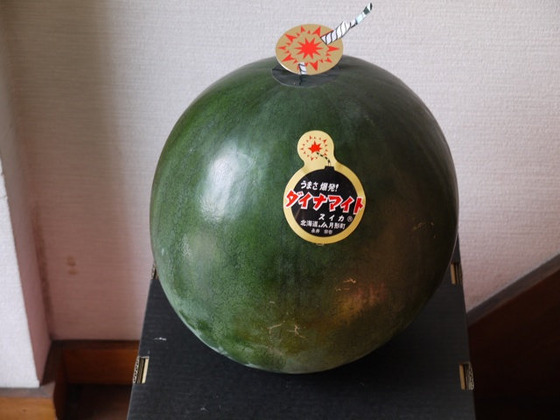 日本のスイカがヤバ過ぎると話題になってる写真