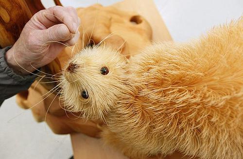木製チップだけで作った動物