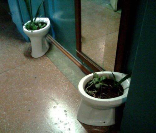 ロシアの日常風景がおそロシア！