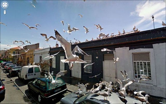 グーグルストリートビューで見かけた珍しい風景の写真
