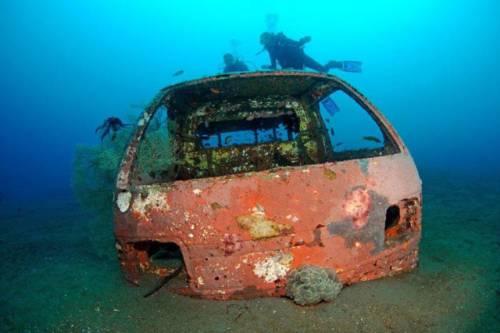 車が海に沈んでしばらくして魚の住まいになった写真