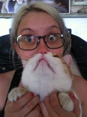 かわいい愛猫を「ヒゲ」にして遊ぶ人々の写真