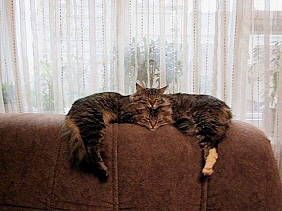 思わず2度見てしまう写真