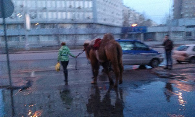 ロシアの日常風景のオモシロ写真