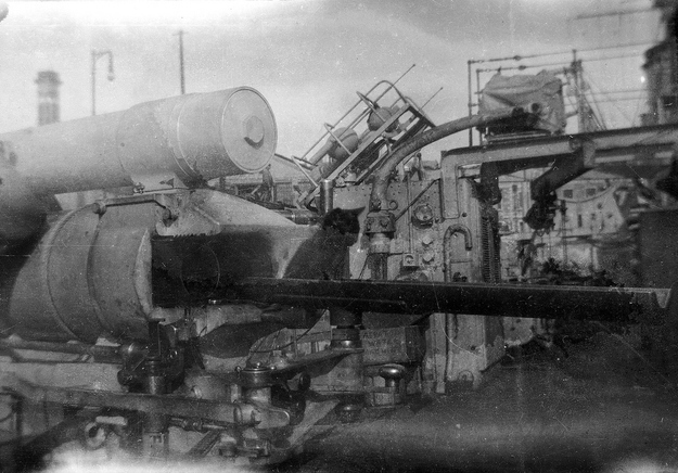 軍艦に乗る猫の歴史的写真
