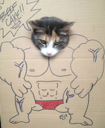 「ちょっと飼い主！何やってんの！」と思わなくもない犬・猫たちの写真