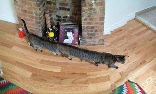 パノラマ撮影に失敗した写真