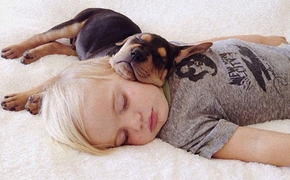幼い子犬と幼い息子の友情の記録写真