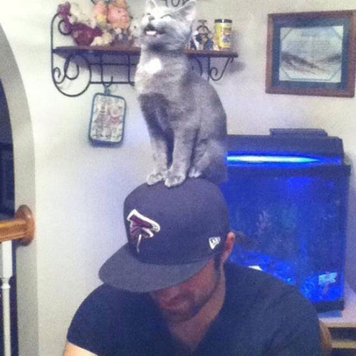 「猫がいて幸せを感じる瞬間」の写真
