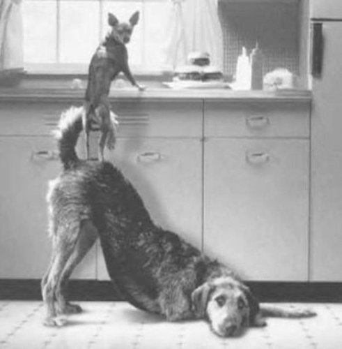 みんなのチームワークに関心する写真