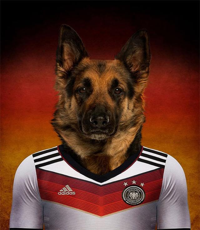 その国の犬に置き換えたポートレート写真