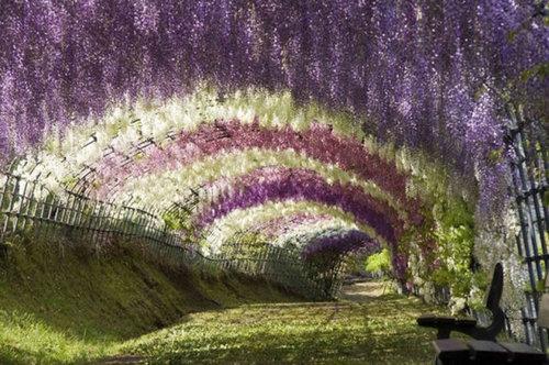 一生に1度は見ておきたい絶景の写真