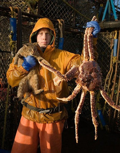 違う種類の動物が仲よくしている可愛い写真