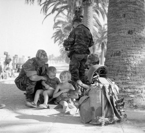 「戦争と猫」の画像