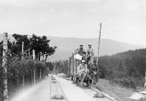 「戦争と猫」の画像