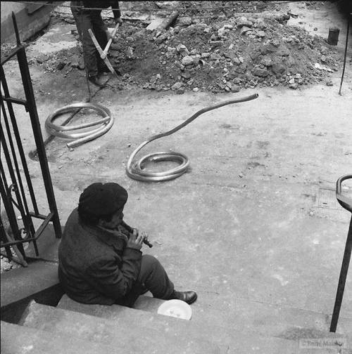 フランスの写真家が撮影したユニーク写真