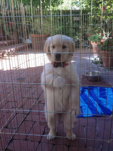可愛い動物たちが立ち上がっていてワロタｗｗｗ写真