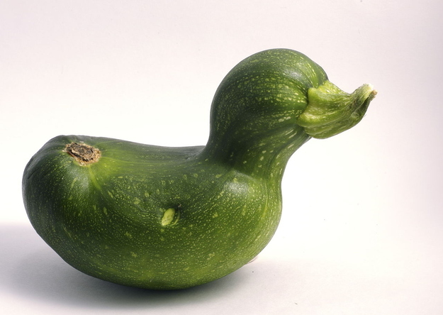 アヒルか果物か