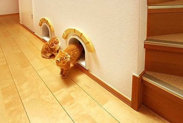 猫のために設計されたインテリアや小物が可愛い写真