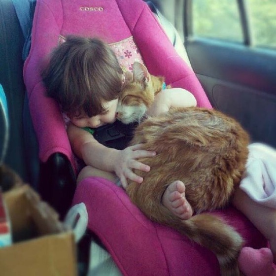 思わず微笑んでしまう可愛い動物達の写真