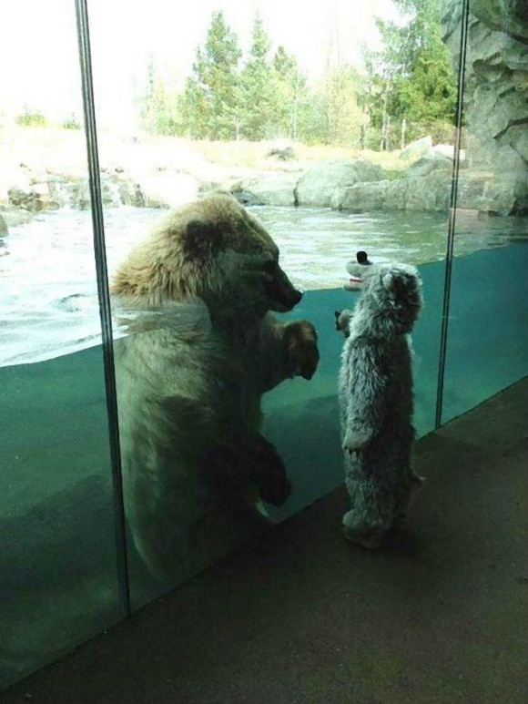 動物と人間の子供が仲良くしている可愛い写真