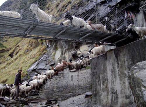 世界にある「吊り橋」