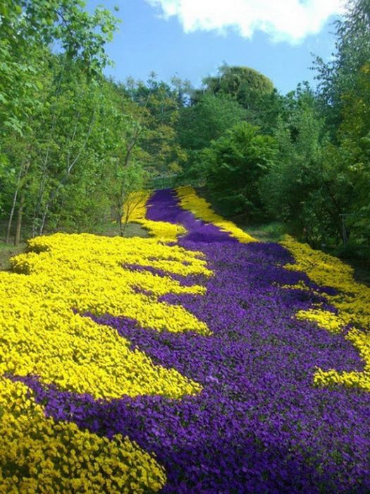息を呑むほど美しい風景・地球すげえって画像
