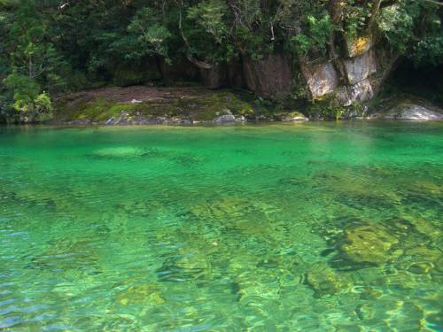 屋久島の神秘的自然が美しすぎる写真