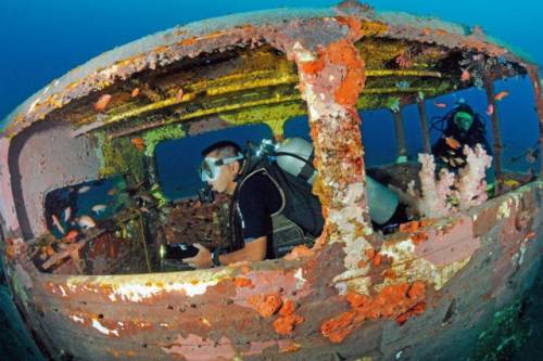 車が海に沈んでしばらくして魚の住まいになった写真