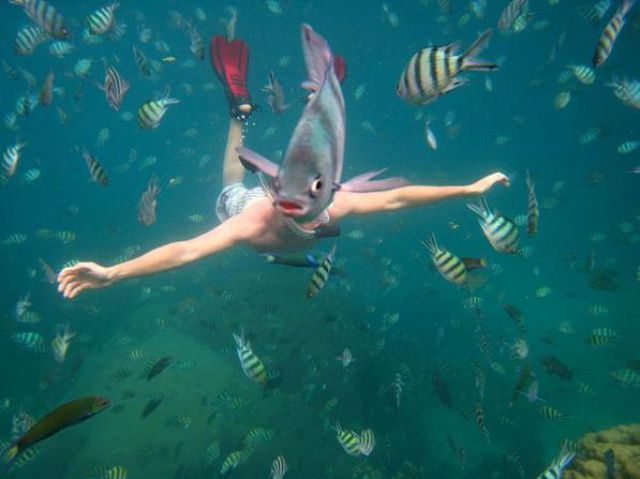 記念撮影好きな動物の写真
