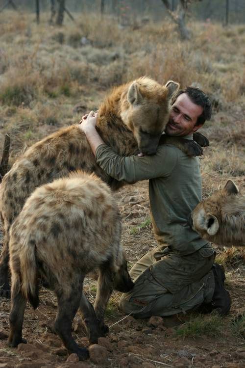 思わず微笑んでしまう可愛い動物達の写真