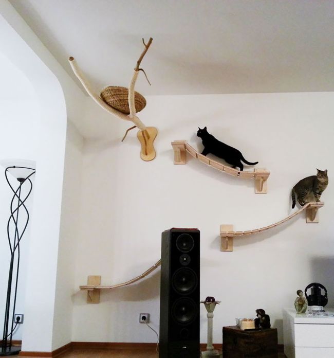 猫の遊び場の写真