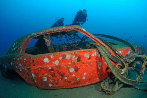 車が海に沈んでしばらくして魚の住まいになった写真